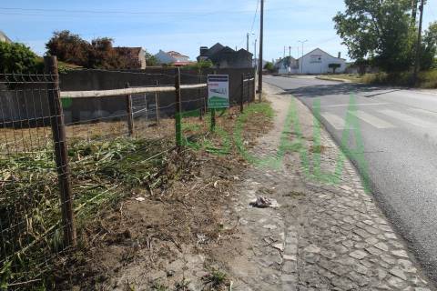 Terreno Para Construção  Venda em Vila Chã de Ourique,Cartaxo