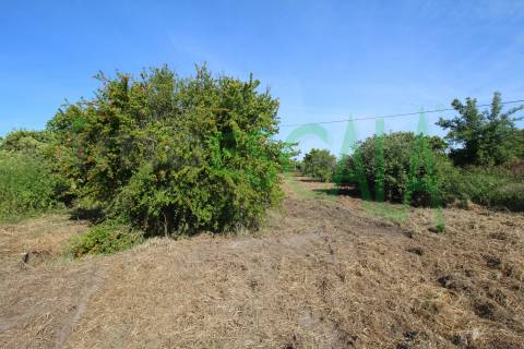 Terreno Para Construção  Venda em Vila Chã de Ourique,Cartaxo