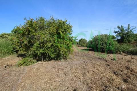 Terreno Para Construção  Venda em Vila Chã de Ourique,Cartaxo