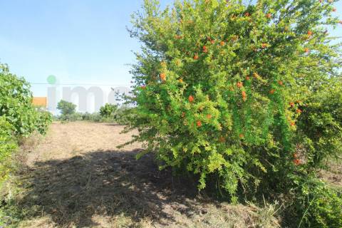 Terreno Para Construção  Venda em Vila Chã de Ourique,Cartaxo