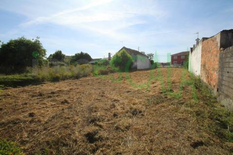 Terreno Para Construção  Venda em Vila Chã de Ourique,Cartaxo