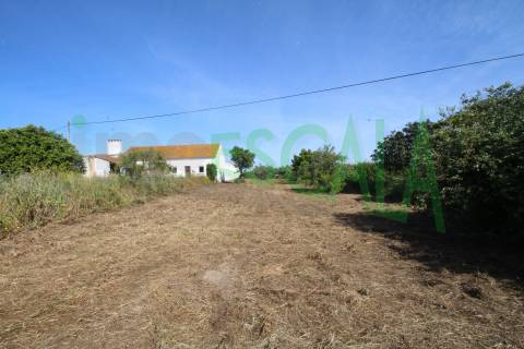 Terreno Para Construção  Venda em Vila Chã de Ourique,Cartaxo