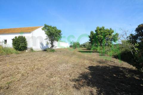 Terreno Para Construção  Venda em Vila Chã de Ourique,Cartaxo