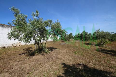 Terreno Para Construção  Venda em Vila Chã de Ourique,Cartaxo