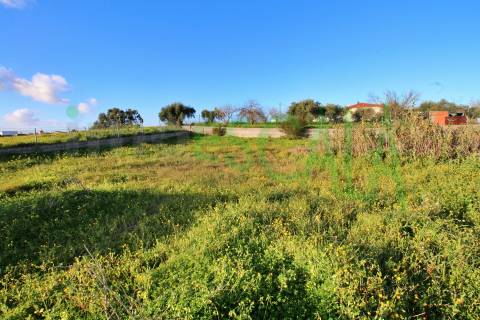 Armazém  Venda em Pontével,Cartaxo