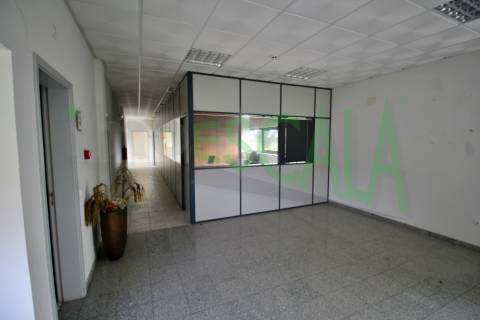 Armazém de 2231 m² inserido num lote de 5060 m² em Salvaterra de Magos