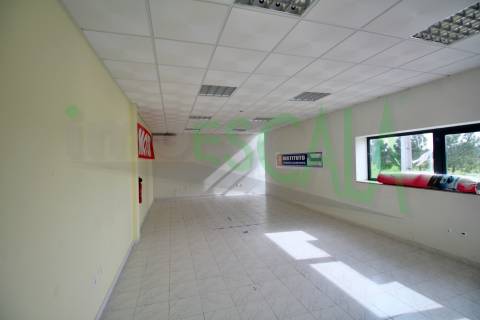 Armazém de 2231 m² inserido num lote de 5060 m² em Salvaterra de Magos