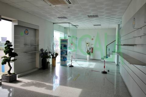 Armazém de 2231 m² inserido num lote de 5060 m² em Salvaterra de Magos