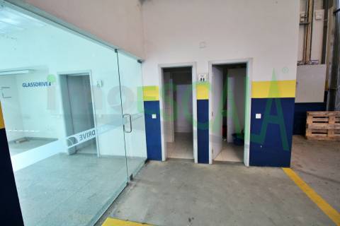 Armazém de 2231 m² inserido num lote de 5060 m² em Salvaterra de Magos