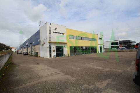 Armazém de 2231 m² inserido num lote de 5060 m² em Salvaterra de Magos