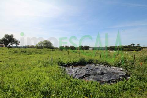 Terreno de 4960 m2 na Moita do Lobo em Manique do Intendente