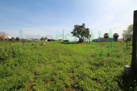 Terreno de 4960 m2 na Moita do Lobo em Manique do Intendente