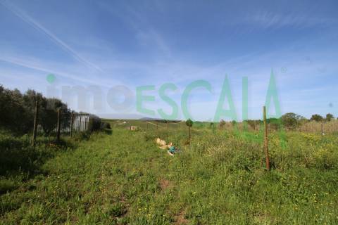 Terreno de 4960 m2 na Moita do Lobo em Manique do Intendente