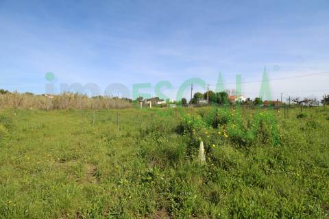 Terreno de 4960 m2 na Moita do Lobo em Manique do Intendente