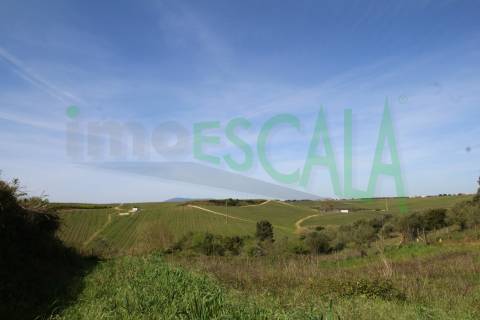 Terreno de 4960 m2 na Moita do Lobo em Manique do Intendente