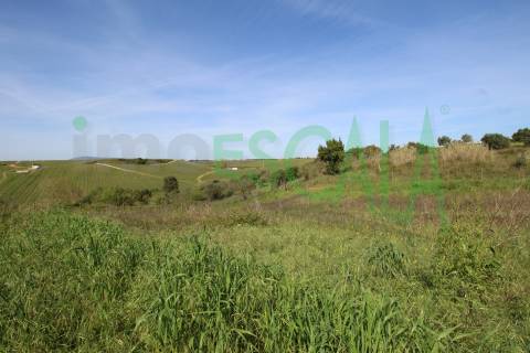 Terreno de 4960 m2 na Moita do Lobo em Manique do Intendente