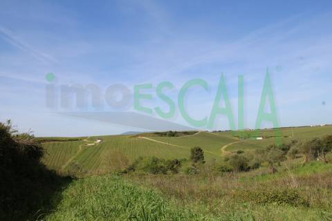 Terreno de 4960 m2 na Moita do Lobo em Manique do Intendente