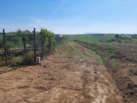 Terreno de 4960 m2 na Moita do Lobo em Manique do Intendente