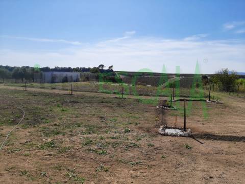 Terreno de 4960 m2 na Moita do Lobo em Manique do Intendente