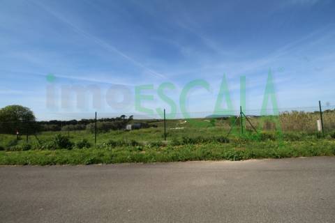 Terreno de 4960 m2 na Moita do Lobo em Manique do Intendente