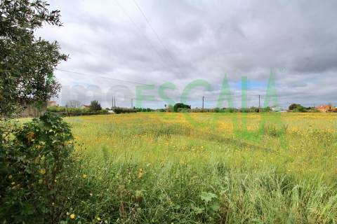 Terreno com área total de 6720 m² no Cartaxo