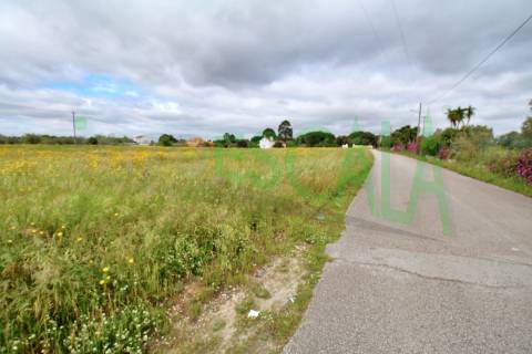Terreno com área total de 6720 m² no Cartaxo