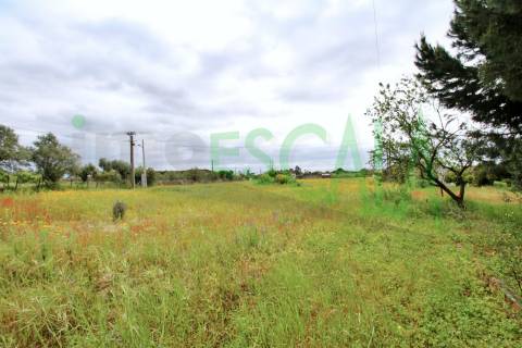 Terreno com área total de 6720 m² no Cartaxo