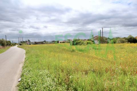 Terreno com área total de 6720 m² no Cartaxo