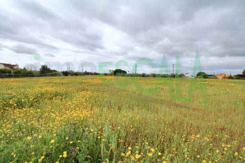 Terreno com área total de 6720 m² no Cartaxo