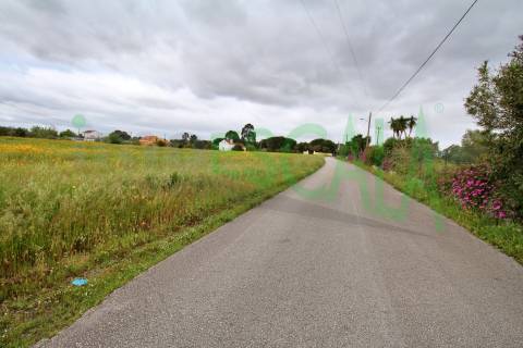 Terreno com área total de 6720 m² no Cartaxo