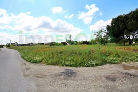 Terreno com área total de 6720 m² no Cartaxo