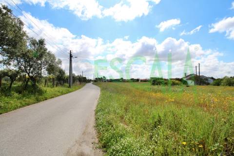 Terreno com área total de 6720 m² no Cartaxo