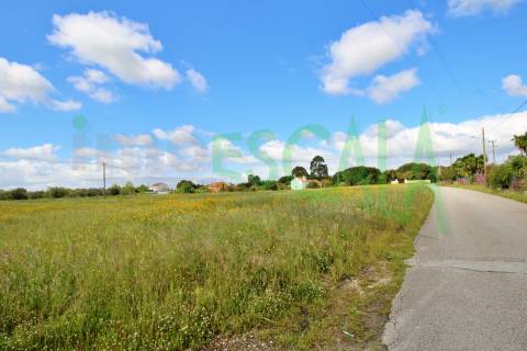 Terreno com área total de 6720 m² no Cartaxo