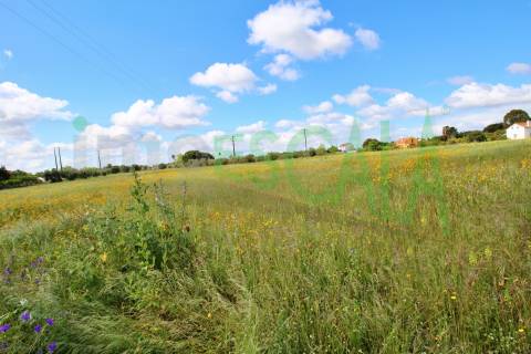 Terreno com área total de 6720 m² no Cartaxo
