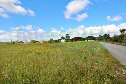 Terreno com área total de 6720 m² no Cartaxo