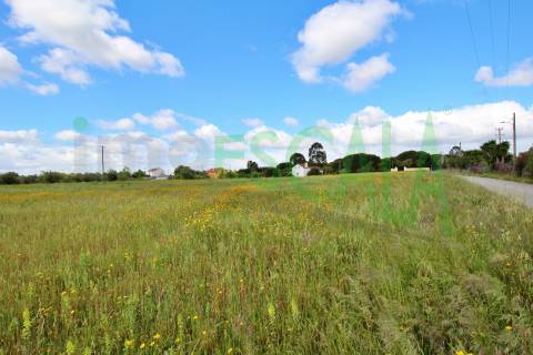 Terreno com área total de 6720 m² no Cartaxo