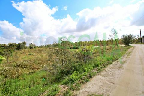 Terreno com área total de 4640 m² no Cartaxo