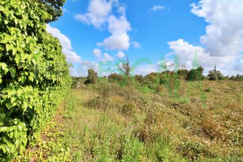 Terreno com área total de 4640 m² no Cartaxo