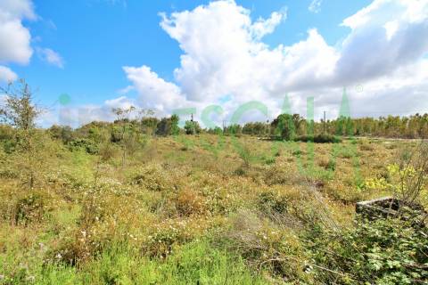 Terreno com área total de 4640 m² no Cartaxo