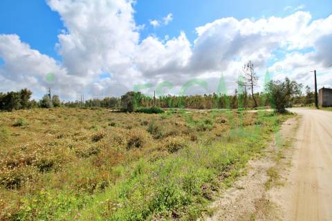 Terreno com área total de 4640 m² no Cartaxo