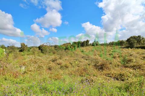Terreno com área total de 4640 m² no Cartaxo