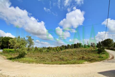 Terreno com área total de 4640 m² no Cartaxo