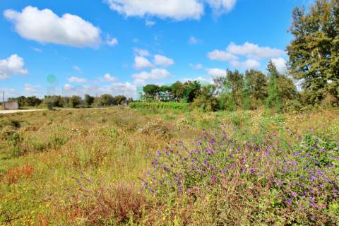 Terreno com área total de 4640 m² no Cartaxo