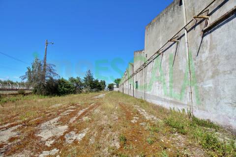 Armazém inserido num terreno de 47.000 m2