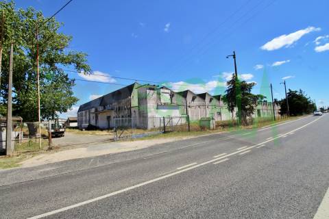 Armazém inserido num terreno de 47.000 m2