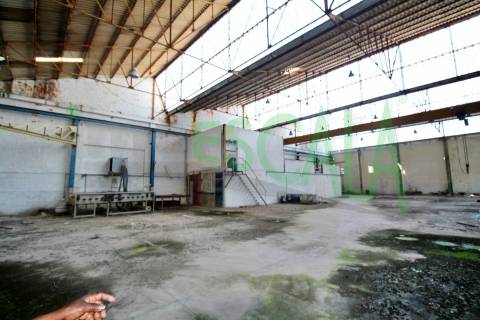 Armazém inserido num terreno de 47.000 m2