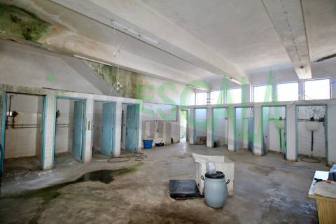 Armazém inserido num terreno de 47.000 m2