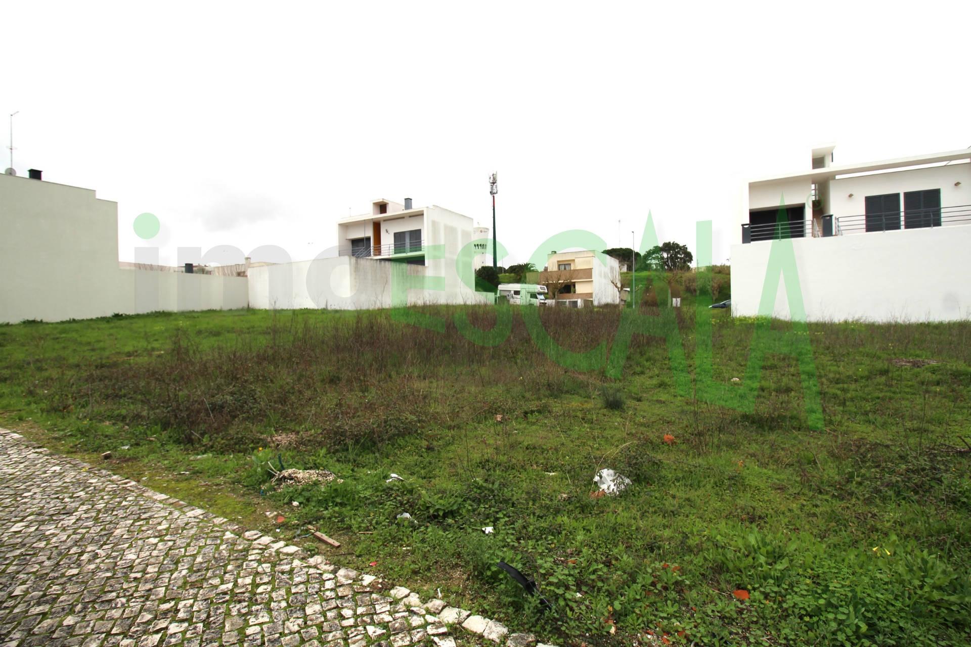 Terreno Urbano  Venda em Cartaxo e Vale da Pinta,Cartaxo