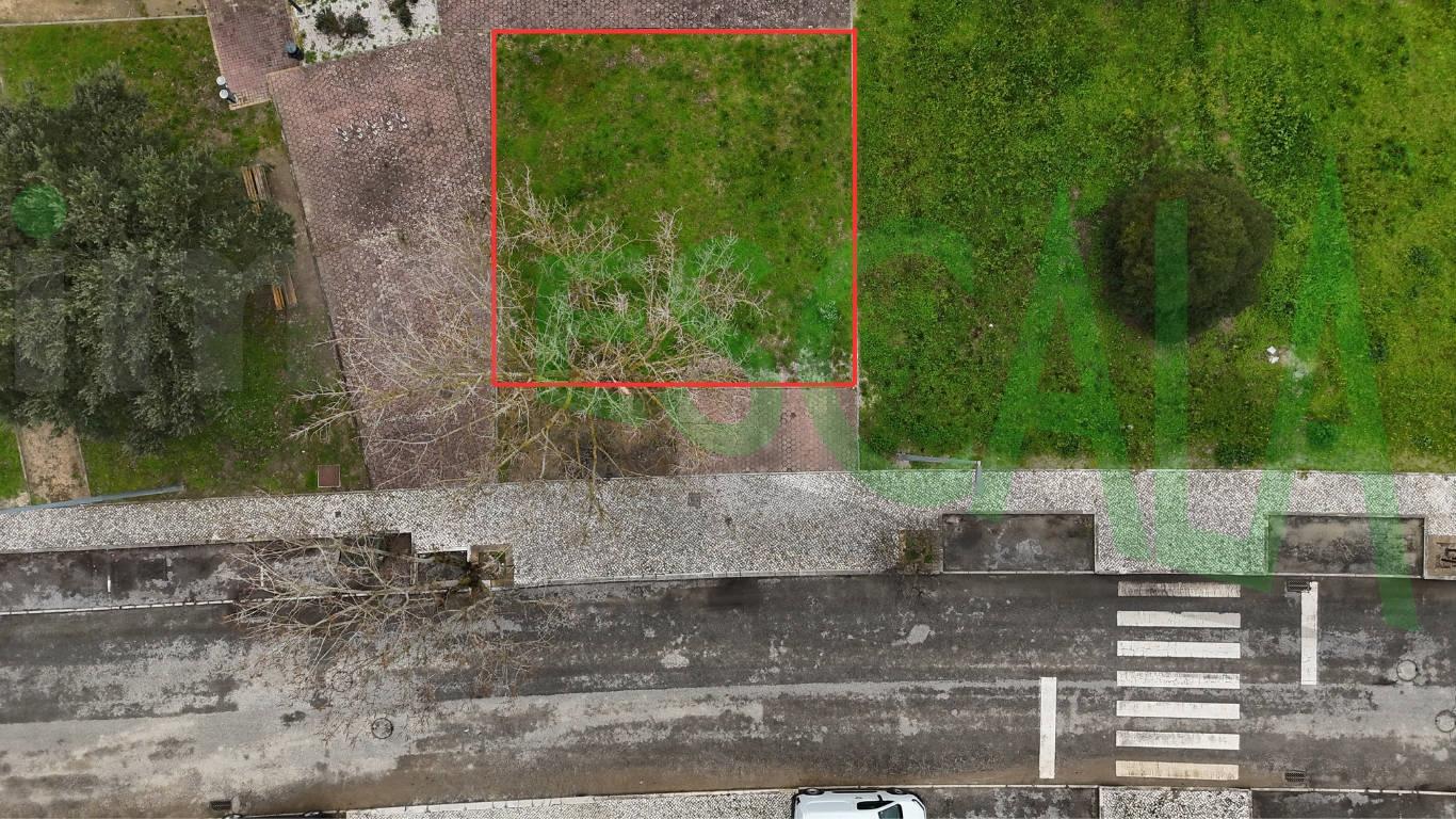 Terreno Urbano  Venda em Cartaxo e Vale da Pinta,Cartaxo