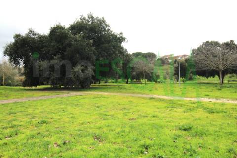 Terreno Urbano  Venda em Cartaxo e Vale da Pinta,Cartaxo